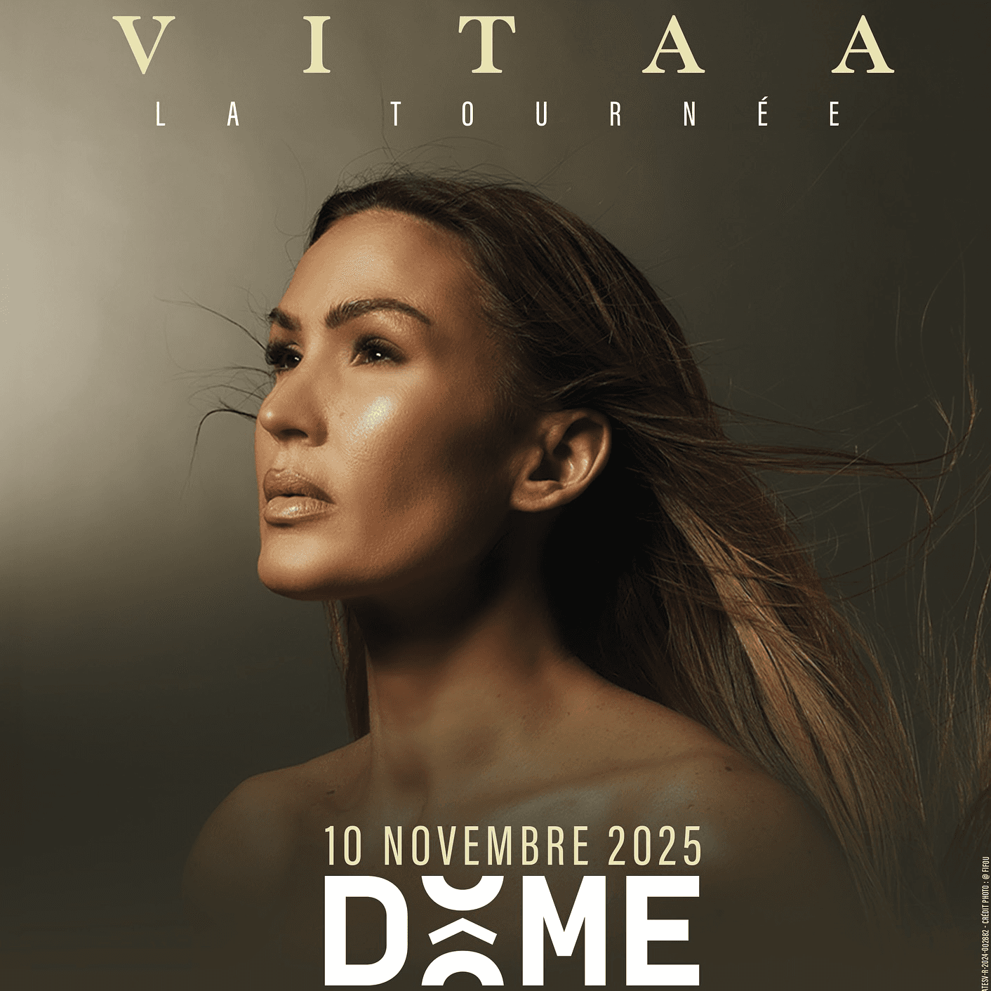 Affiche du spectacle VITAA - La Tournée - Concert