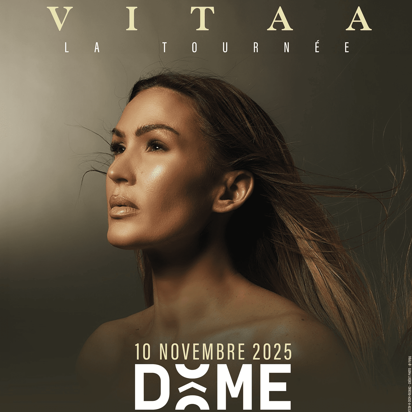 Affiche du spectacle VITAA - La Tournée - Concert